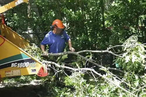 tree services Malta